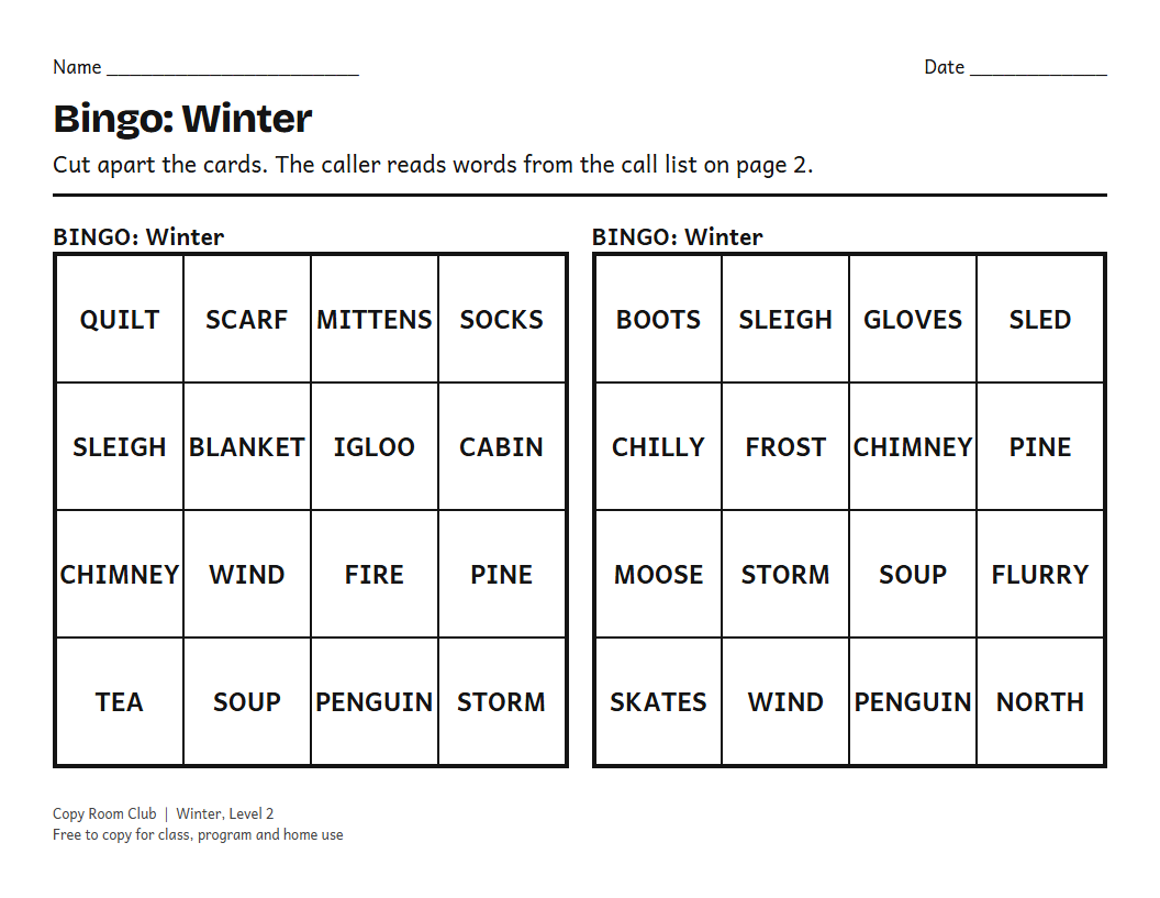 Example of the Winter Bingo Cards (Printable) printable, Level 2